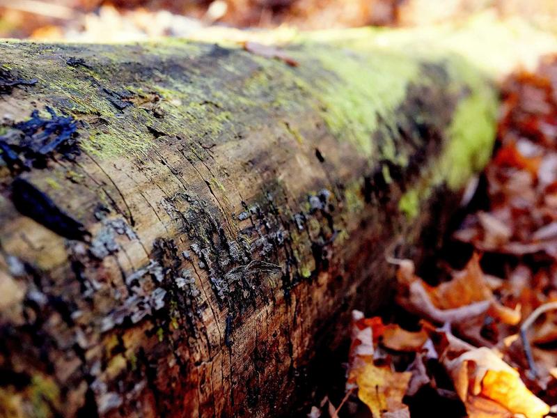 sudoku newspaper puzzle screenshot 5